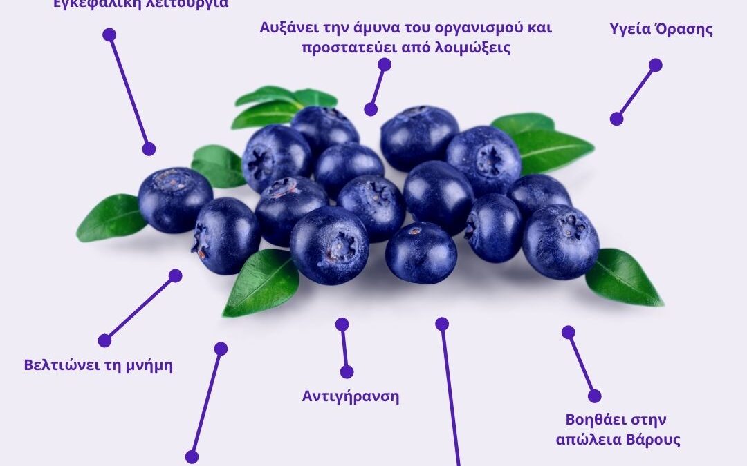 Μύρτιλο | Ο μικρός αυτός μπλέ-μαύρος, στρογγυλός καρπός είναι πραγματικά μια υπερτροφή αντάξια της φήμης της