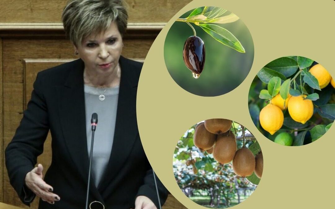 ΓΕΡΟΒΑΣΙΛΗ – Αντιμετώπιση της γενικής ακαρπίας της ελιάς και την κατακόρυφη πτώση παραγωγής στα εσπεριδοειδή και στα ακτινίδια στην Άρτα