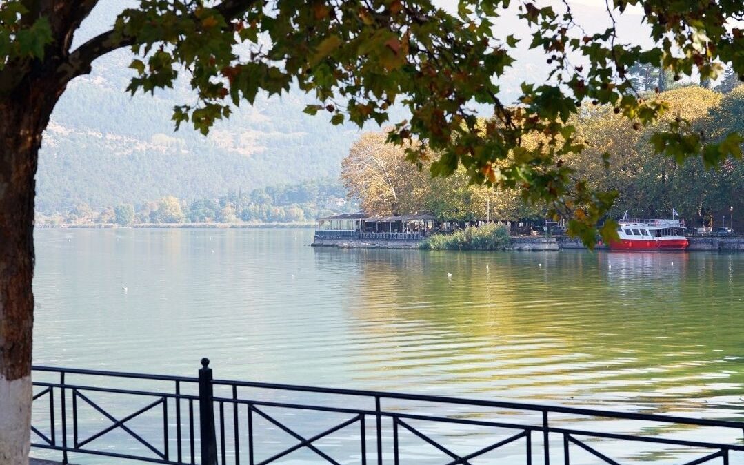 Στύλιος: Ήπειρος, η “καρδιά” της κτηνοτροφίας της Ελλάδας