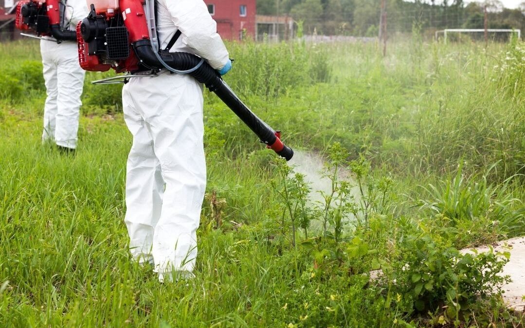 Η τιμή του GLYPHOSATE έχει εκτοξευτεί! Τι συμβαίνει?